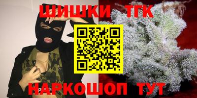гашик Будённовск
