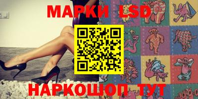 гашик Будённовск