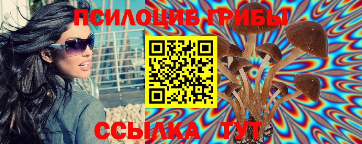 Полысаево  купить наркотик  Вход с VPN  Галлюциногенные грибы MAGIC MUSHROOMS 
