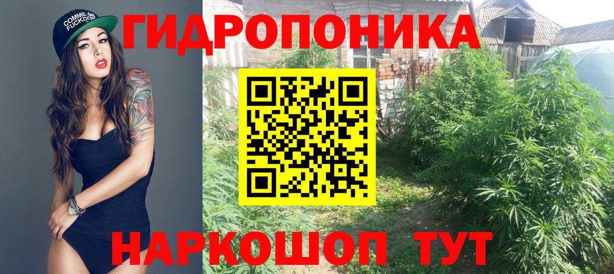 Бошки Шишки индика  Вход с VPN  Полысаево  Конопля OG Kush 